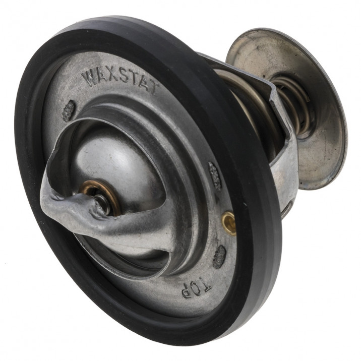Thermostat, with seal, Eurospare