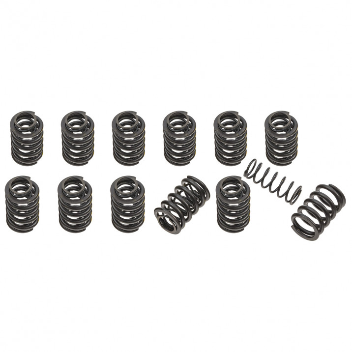 Valve Spring Set, twin fitment, uprated