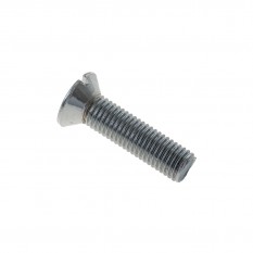 Screw, guide plate to body