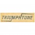 Decal, Triumph tune, medium, black